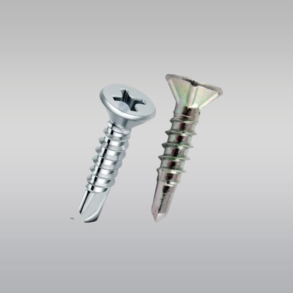SS Screws